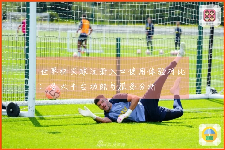 世界杯买球注册入口使用体验对比：各大平台功能与服务分析