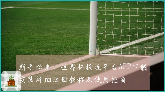 新手必看：世界杯投注平台APP下载安装详细注册教程及使用指南
