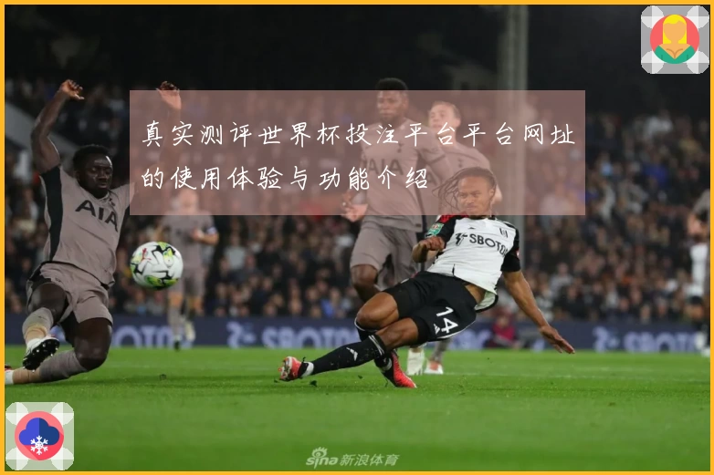 真实测评世界杯投注平台平台网址的使用体验与功能介绍