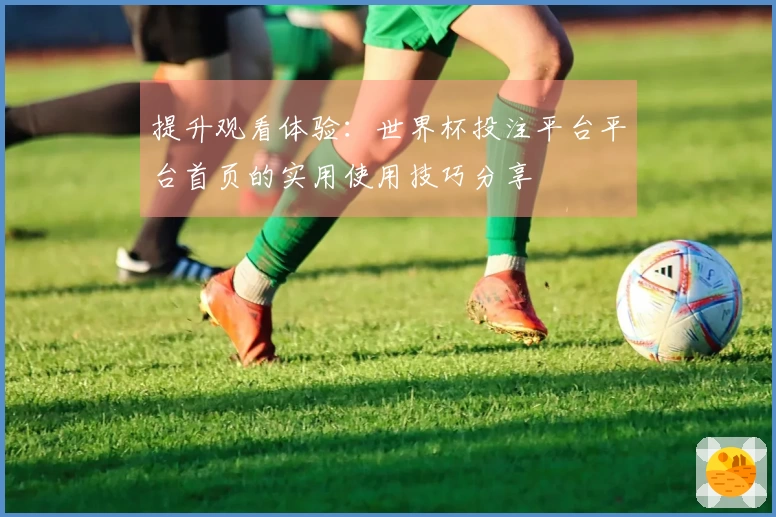 提升观看体验：世界杯投注平台平台首页的实用使用技巧分享