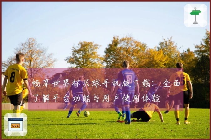 畅享世界杯买球手机版下载：全面了解平台功能与用户使用体验