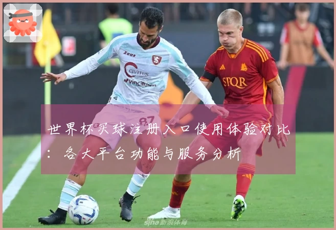 世界杯买球注册入口使用体验对比：各大平台功能与服务分析