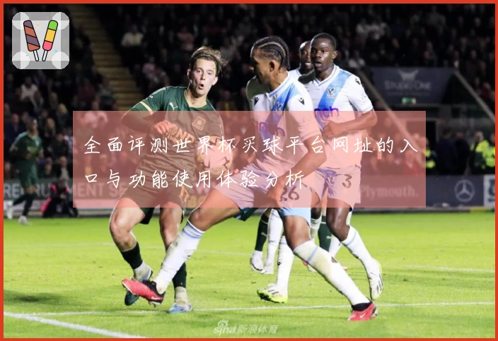 全面评测世界杯买球平台网址的入口与功能使用体验分析