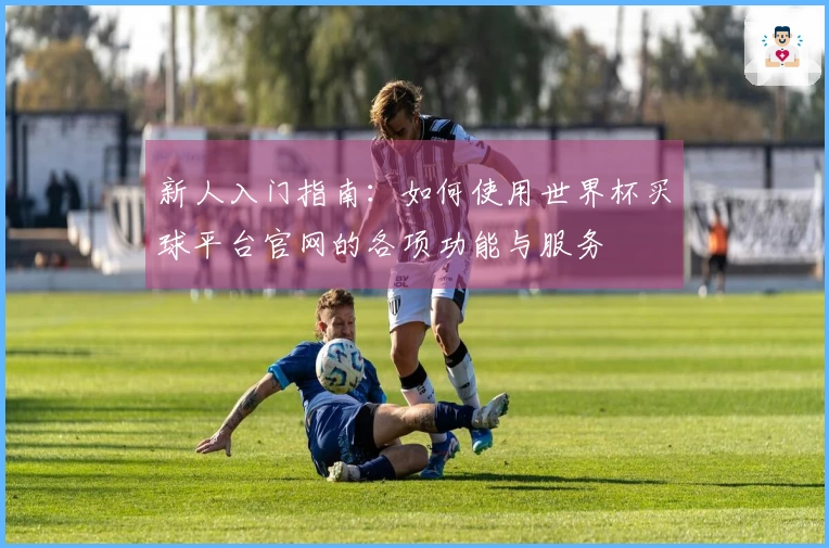 新人入门指南：如何使用世界杯买球平台官网的各项功能与服务