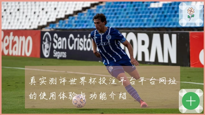 真实测评世界杯投注平台平台网址的使用体验与功能介绍