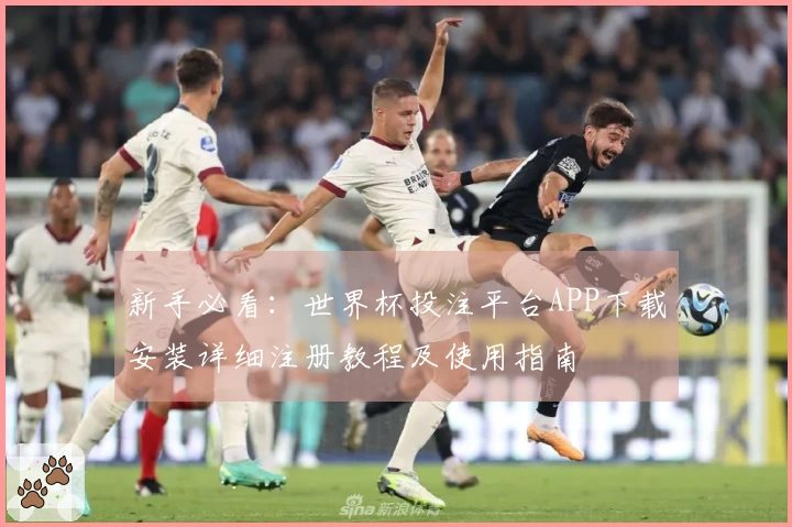 新手必看：世界杯投注平台APP下载安装详细注册教程及使用指南